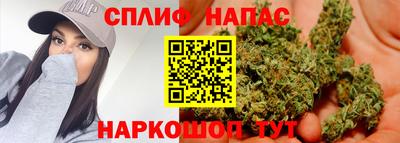 спиды Коммунар