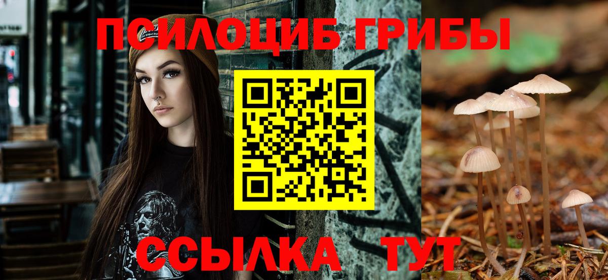 Псилоцибиновые грибы GOLDEN TEACHER  Вход с VPN  Кропоткин 
